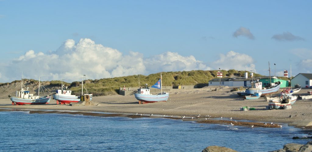 DSC_8083 DSC_8083